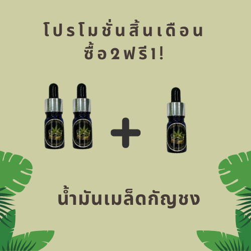 น้ำมันเมล็ดกัญชง | โปรสิ้นเดือน ซื้อ 2 ฟรี 1!