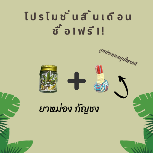 🌿 โปรสิ้นเดือน ซื้อ 1 ฟรี 1!