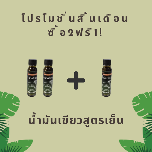 ❄️ โปรสิ้นเดือน ซื้อ 2 ฟรี 1!