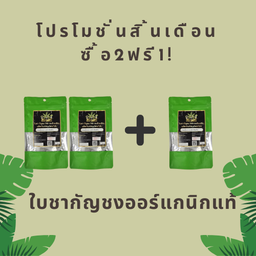 🍵 โปรสิ้นเดือน! ใบชากัญชงออร์แกนิกแท้ ซื้อ 2 แถม 1