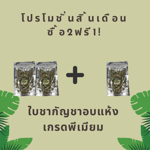🌿 โปรสิ้นเดือน! ใบชากัญชงอบแห้ง เกรดพรีเมียม ซื้อ 2 แถม 1
