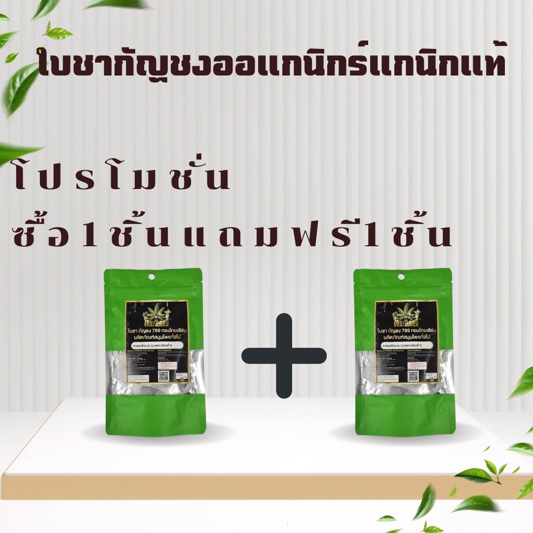 ใบกัญชงออร์แกนิกแท้ (โปรโมชั่น 1 แถม 1)