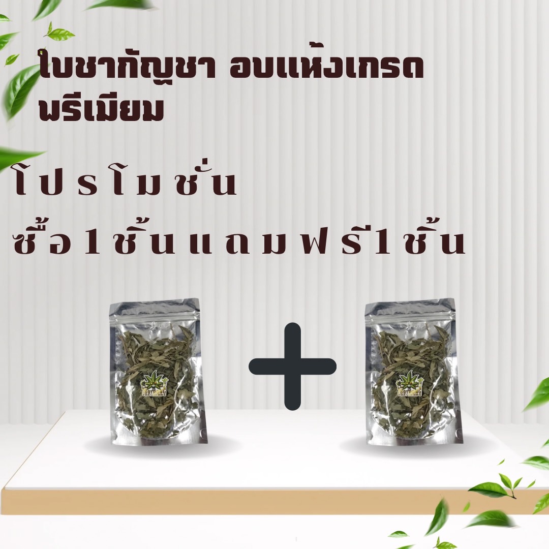 ใบกัญชาอบแห้งเกรดพรีเมียม
